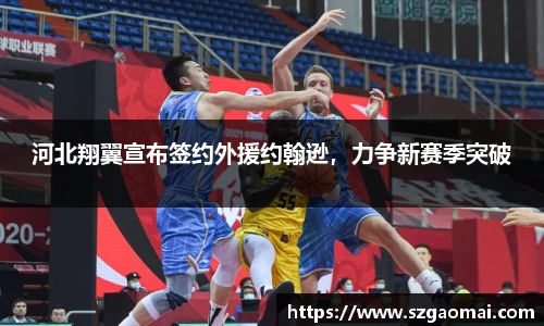 河北翔翼宣布签约外援约翰逊，力争新赛季突破