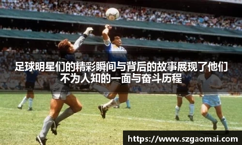威廉希尔williamhill官方网站